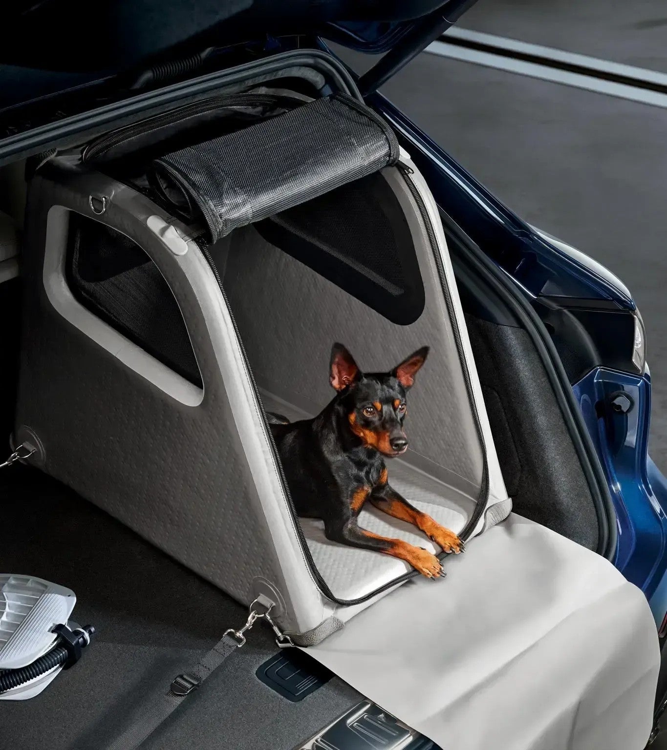Porsche Design Top Pick | Porsche Luggage Compartment Box for dogs
