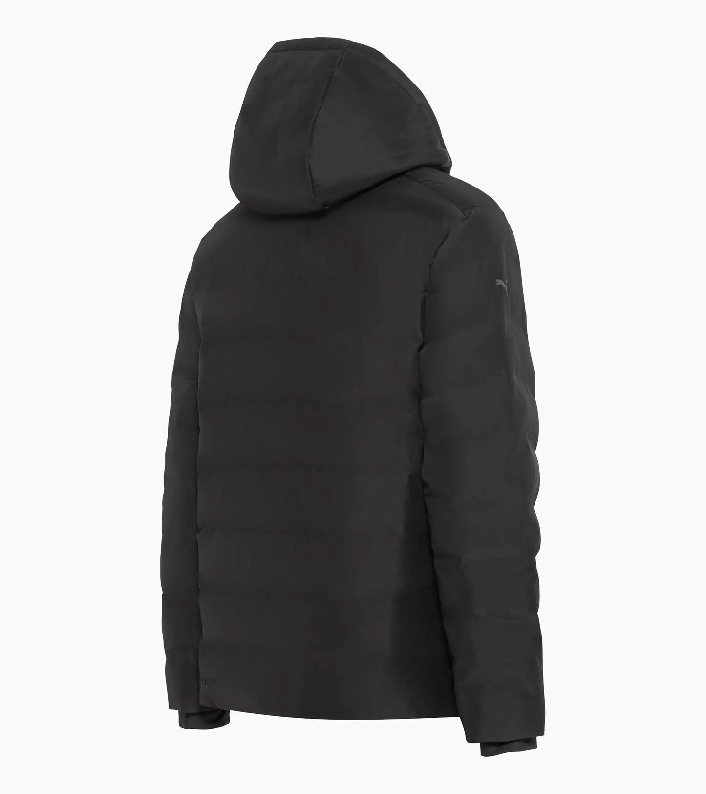 Porsche Design Value | Padded parka