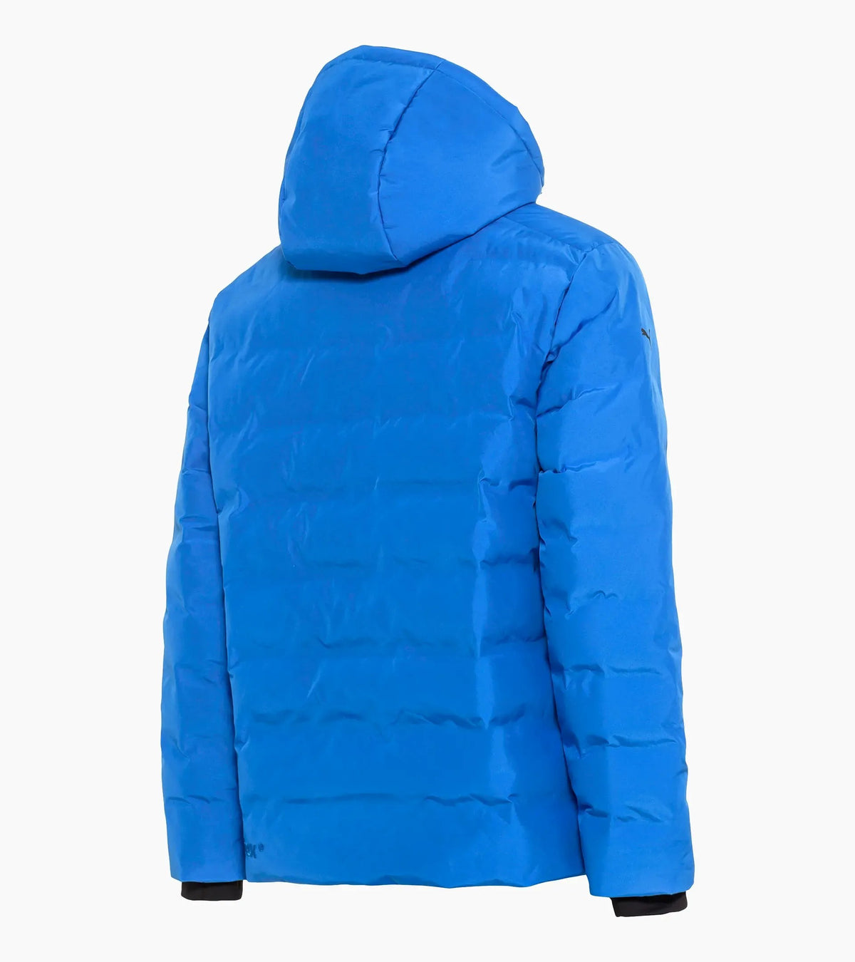 Porsche Design Trusted | Padded Jacket