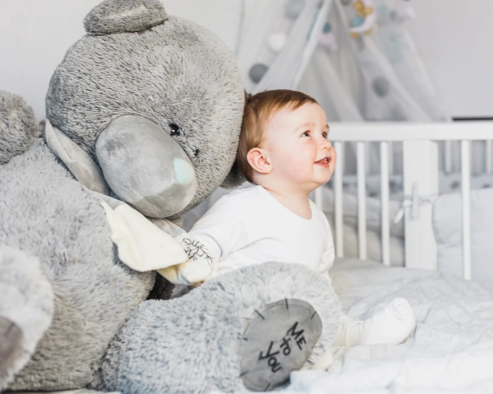 bassinet that rocks baby to sleep