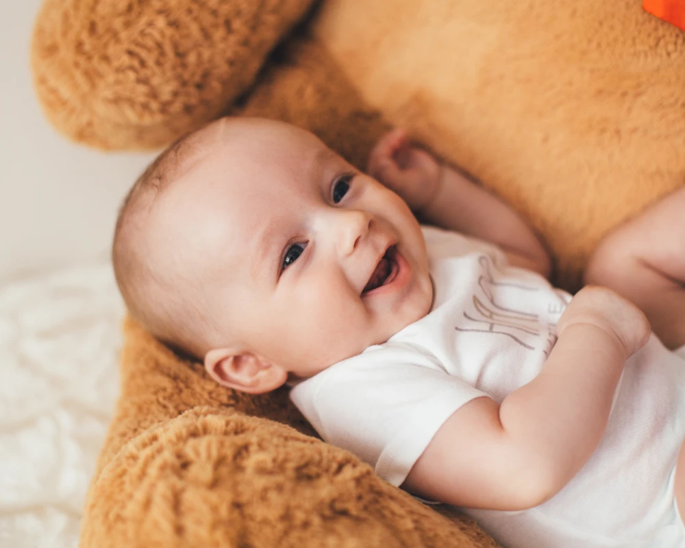 infant bouncer rocker