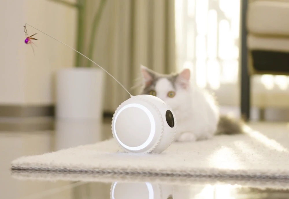 portable pet camera