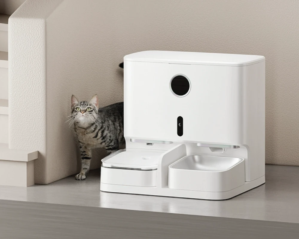 automatic cat feeder pets at home