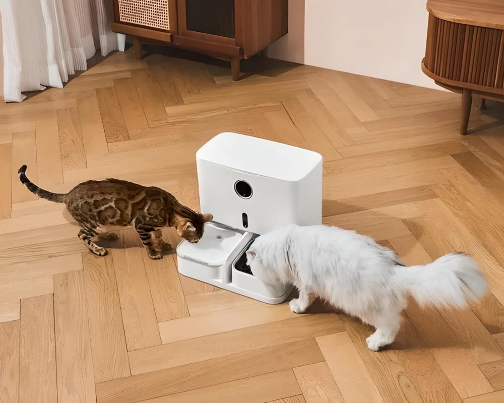 automatic cat feeder pets at home